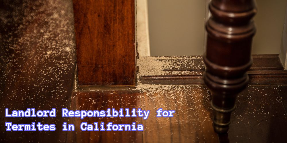 landlord responsibility for termites california