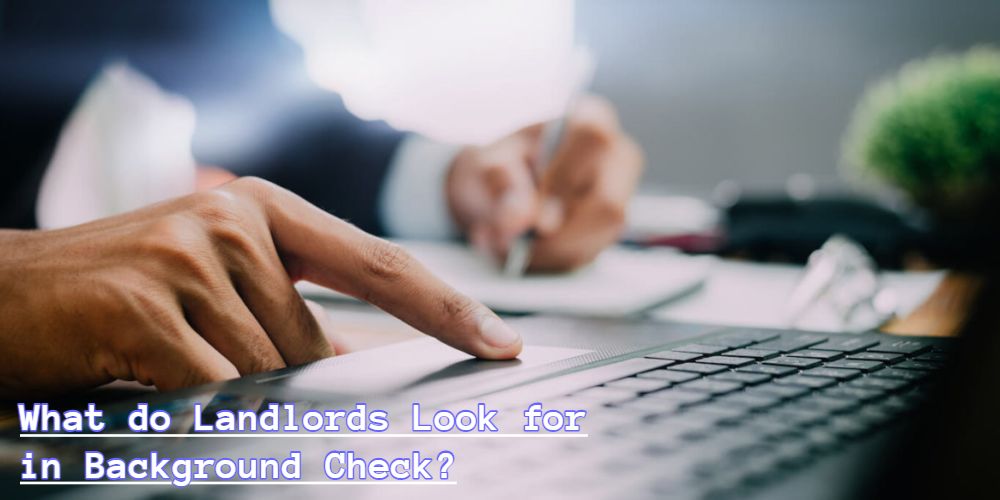 what-do-landlords-look-for-in-background-checks