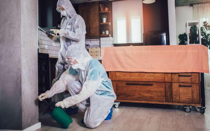 Are Landlords Responsible For Pest Control In California?