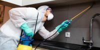 How Long Does a Landlord Have to Fix a Mold Problem in Delaware? How long does a landlord have to fix a mold problem in Delaware?