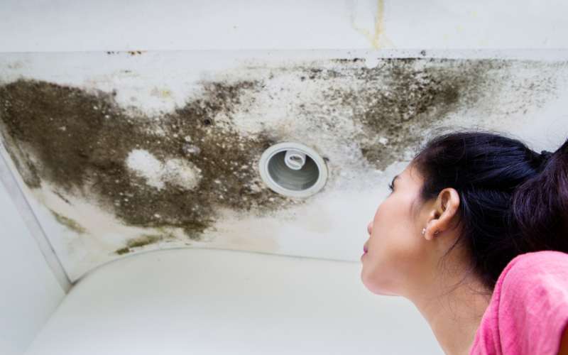 How long does a landlord have to make a repairs?